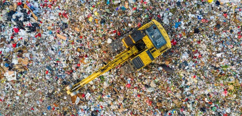 Urinary odor changes pets