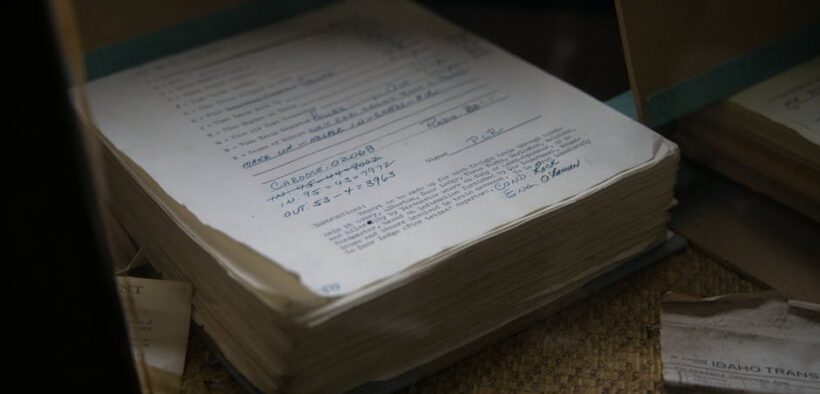 How to store and track your dog’s vaccination documents