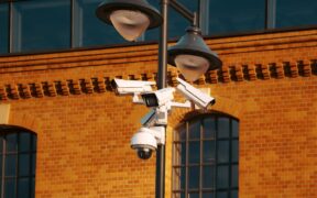 Anxiety during pet camera monitoring