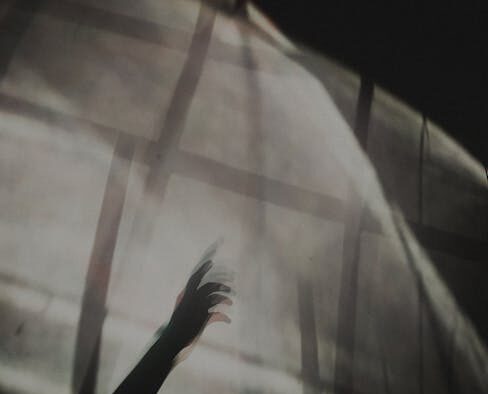 Sound sensitivity anxiety in cats