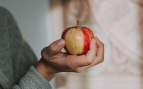 Core vaccines for indoor cats benefits and timing