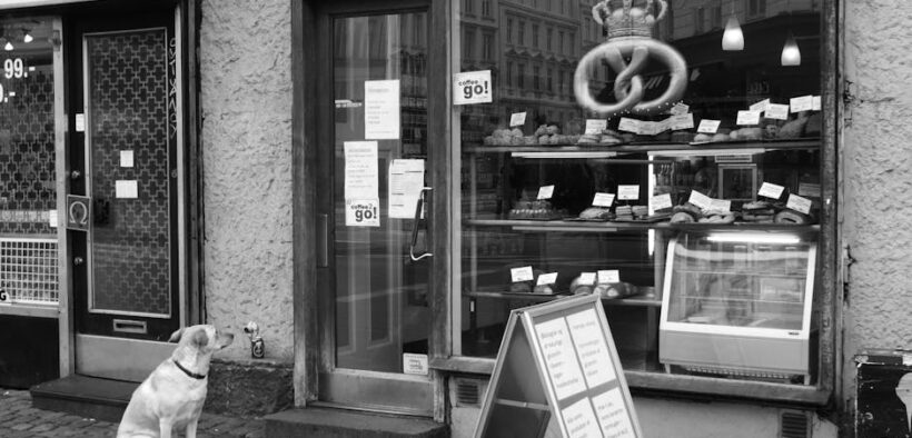 Pastries toxic for pets