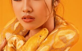 Supplements for bright eyes in senior pets