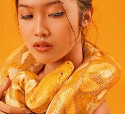 Supplements for bright eyes in senior pets