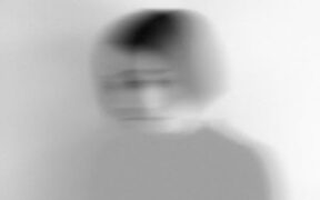 Anxiety in pets with vision changes