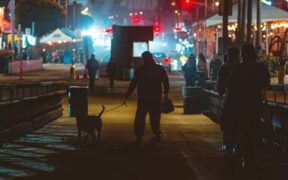 Loose leash walking in busy areas