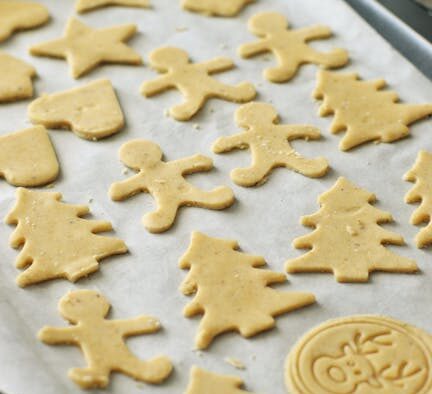 Raw bread dough toxicity in pets