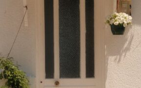 Cats reacting at the doorway