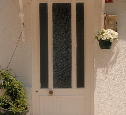 Cats reacting at the doorway