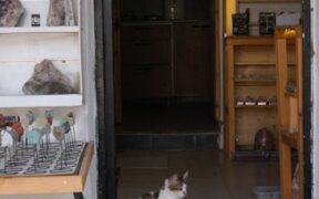 Urine crystals in cats