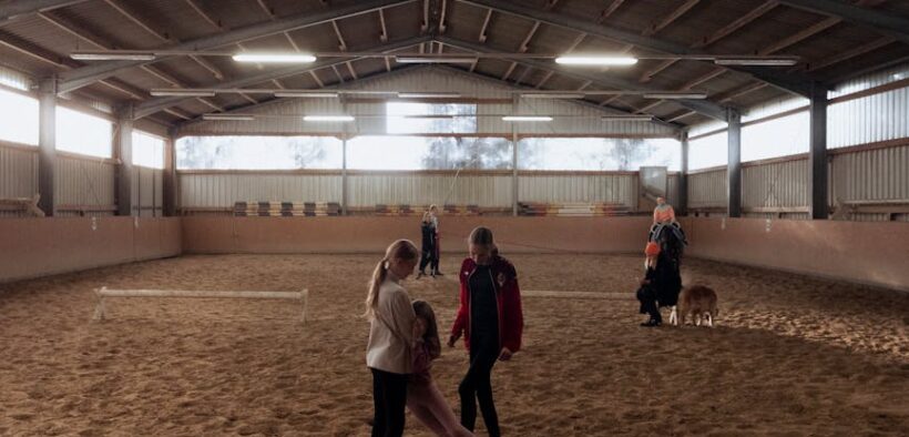 Basic training for indoor dogs