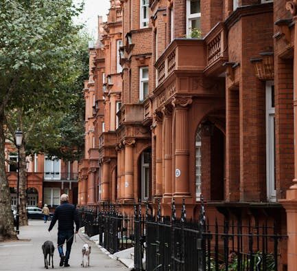 Post travel anxiety in dogs