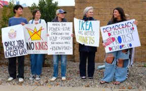 Cat pancreatitis signs causes and management overview