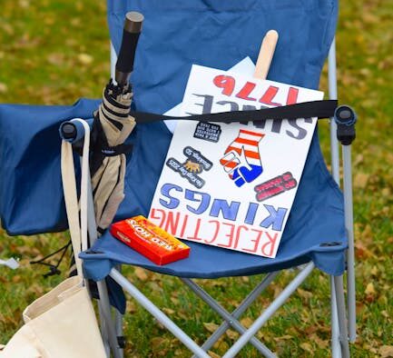 Cat sudden change in food preferences digestive sign