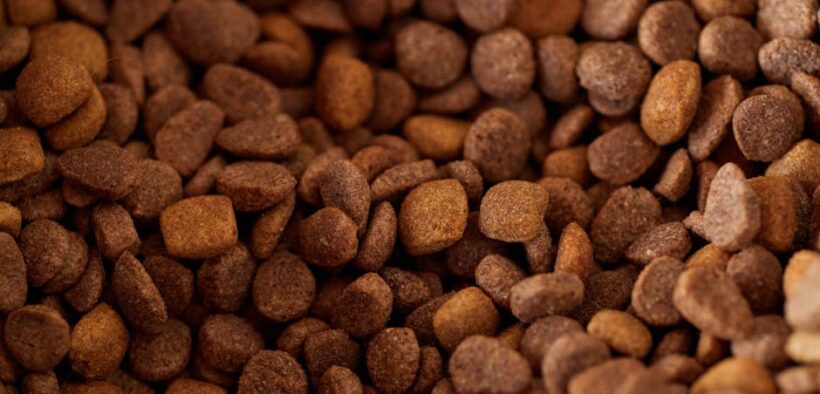 Feeding guide for crunchy kibble cats