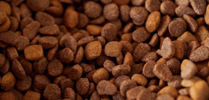 Single protein feeding guide for dogs