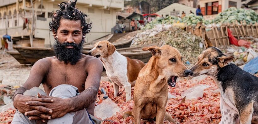 Garbage poisoning in dogs