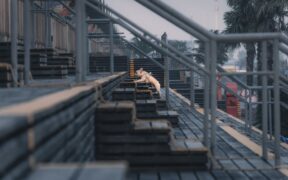 Dog vomiting bile on an empty stomach chronic pattern