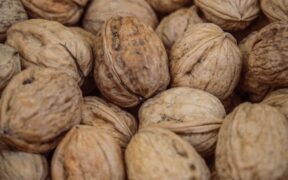 Fiber rich feeding guide for cats