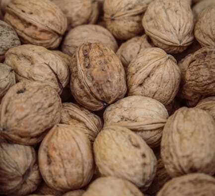 Fiber rich feeding guide for dogs