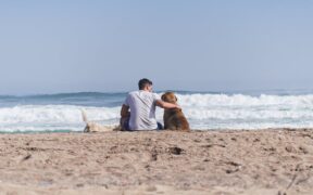 Dogs backing away while growling