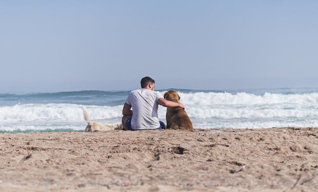 Dogs backing away while growling