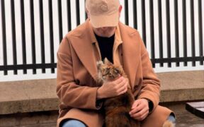 Weather-Related Grooming Adjustments