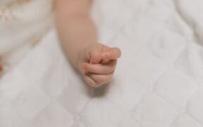 What vaccines kittens usually need in early life