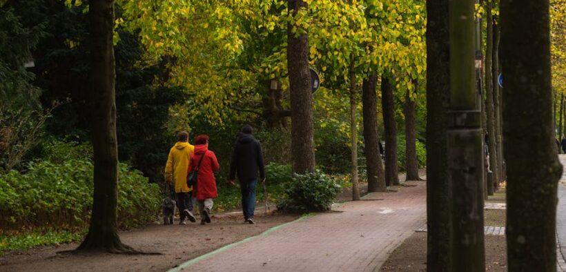 Dog vomiting yellow bile symptoms and possible reasons