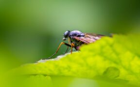 Urinary urgency with little output