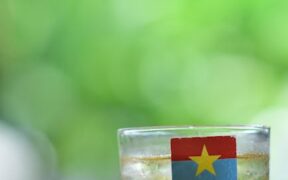 Cat vomiting yellow liquid symptoms and possible reasons