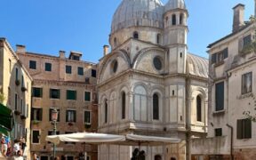 Kombucha toxicity dogs