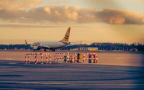 Lower airway symptoms pets