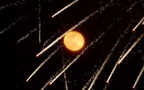 Cats showing discomfort at fireworks