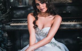 Urine crystals in dogs