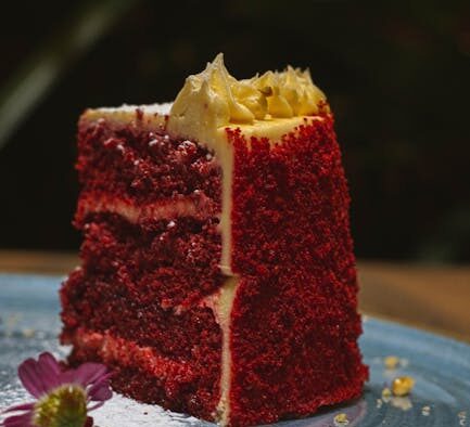 Baking chocolate toxicity pets