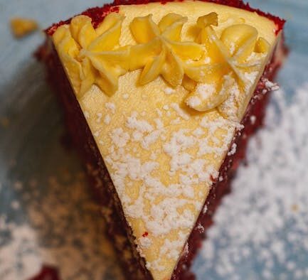 Preventing overfeeding in dogs portion control basics