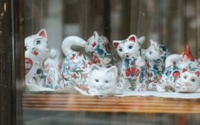 Blue cheese toxicity cats