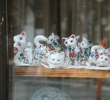 Preventing sunburn in white or hairless cats