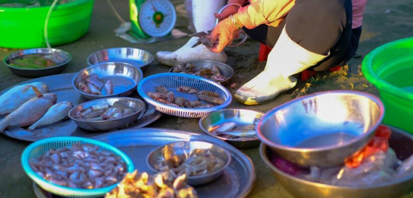 Crab shells choking pets