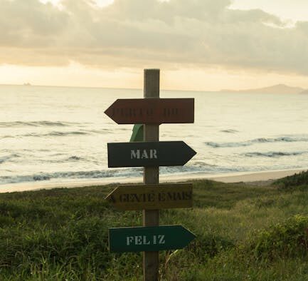 Feeding guide for post vaccination cats