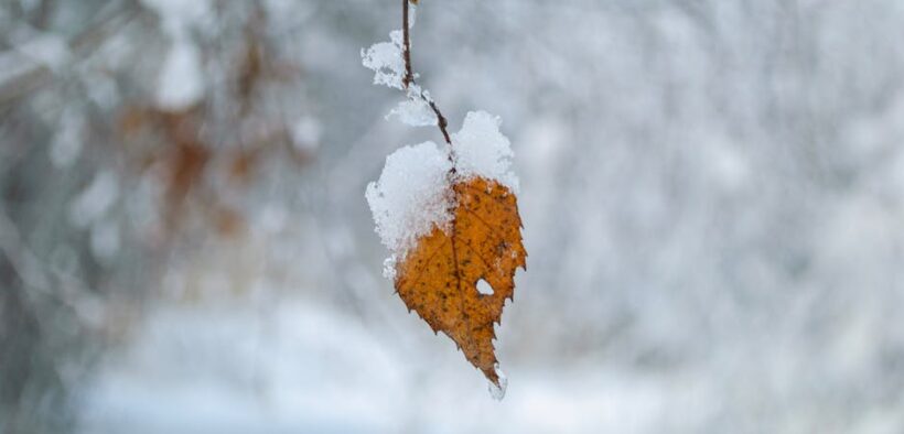 Urinary flare-ups during cold weather