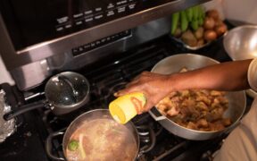 Broth powders toxicity pets