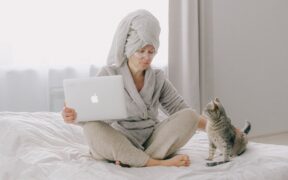 Routine parasite screening tests for cats explained