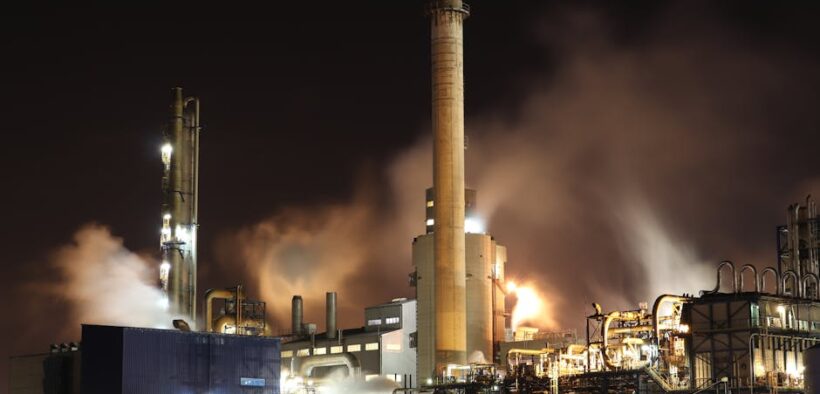 Toxic processed meats for cats