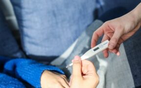 Cat bladder infection symptoms causes and urgent care