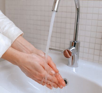 Flea prevention routine for indoor cats