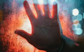 Preventing heartworm disease in cats risk reduction