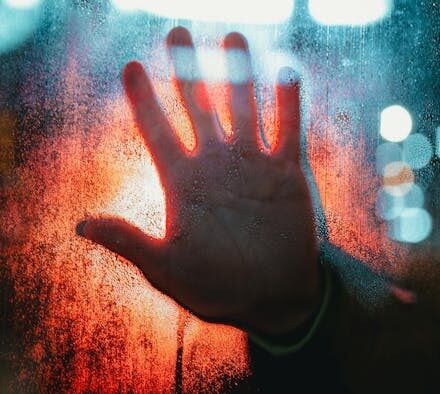 Preventing infection risks in cats after scratches