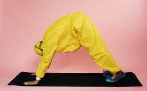 Preventive spine health habits for dogs safe exercise